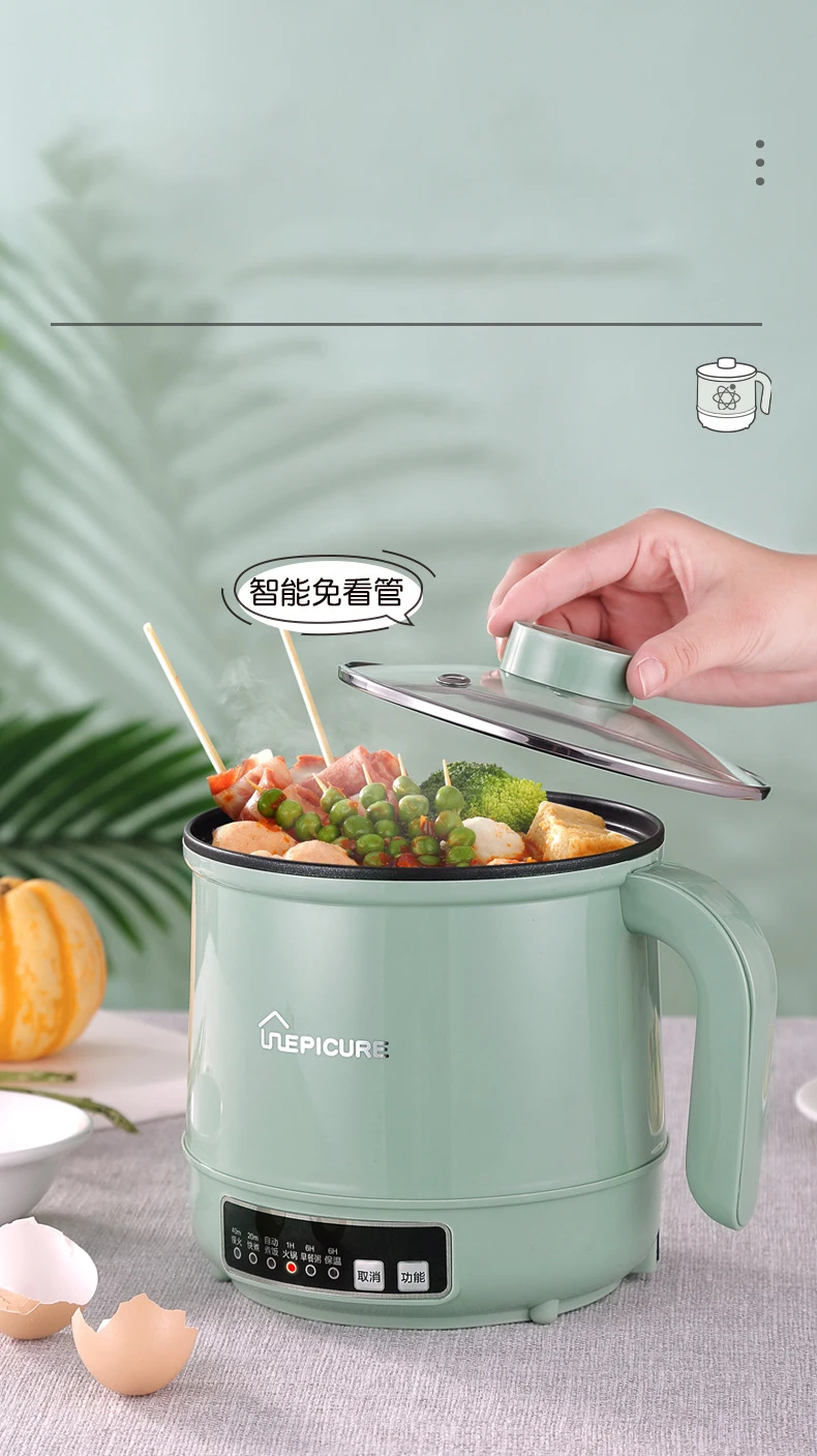 Mini Multifunction Electric Cooker and Rice Cooker